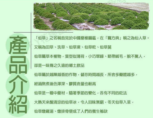 新竹名物  関西農協 仙草（ゼリー）の素｜關西農會 即溶仙草粉｜3gx15パック/箱｜個包装