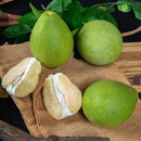 【期間限定予約販売・送料無料】最高級 台湾文旦 文旦ギフトボックス 3kg（5~9玉） 柚子