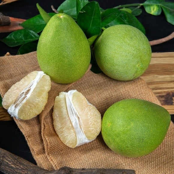 【期間限定予約販売・送料無料】最高級 台湾文旦 文旦ギフトボックス 3kg（5~9玉） 柚子