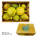 【期間限定予約販売・送料無料】最高級 台湾文旦 文旦ギフトボックス 3kg（5~9玉） 柚子